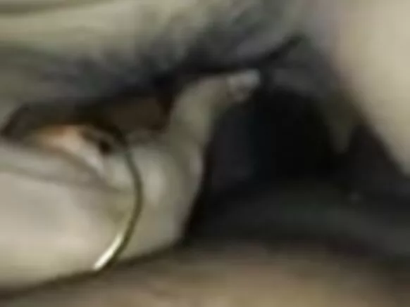 Bhabhi na Indiya balagagge tare da manyan nono xxx.